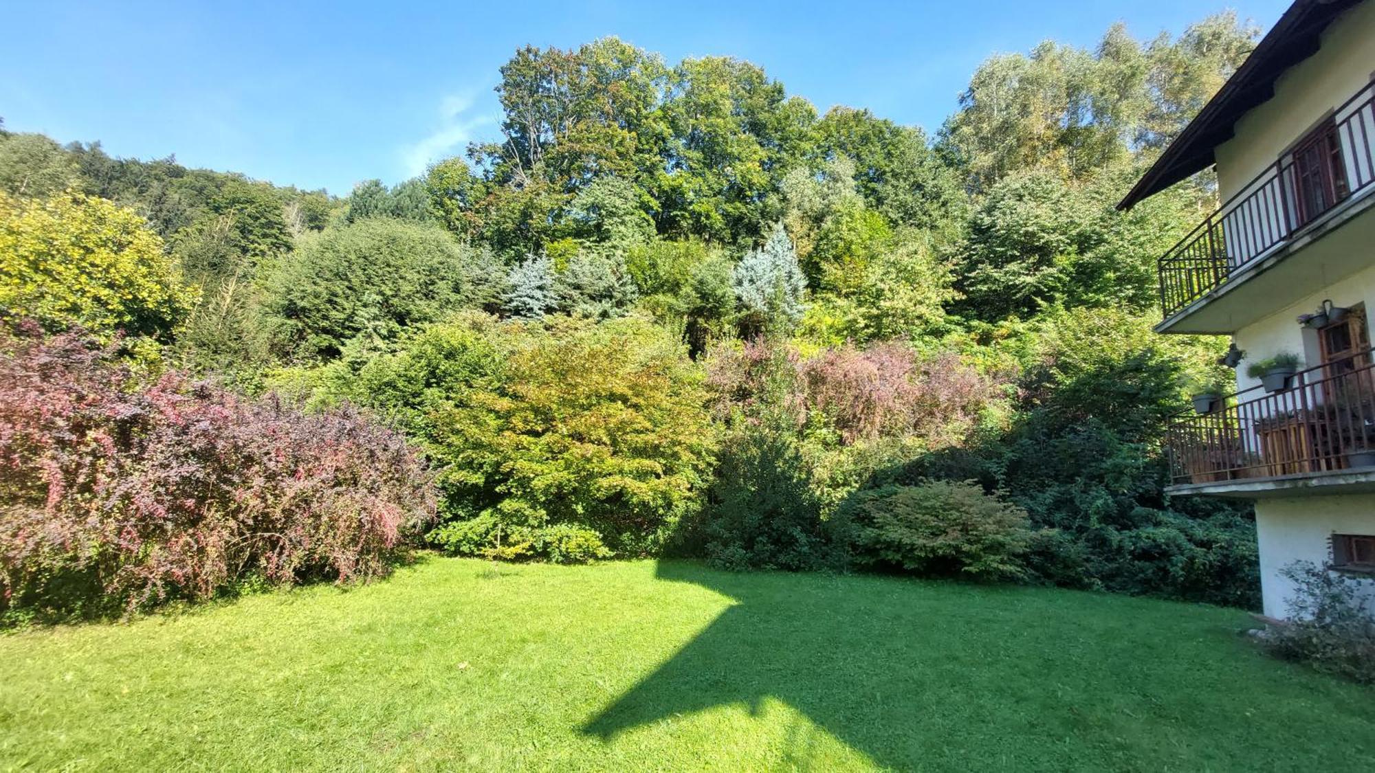 Apartament Miedzygorski 米迪格兹 外观 照片